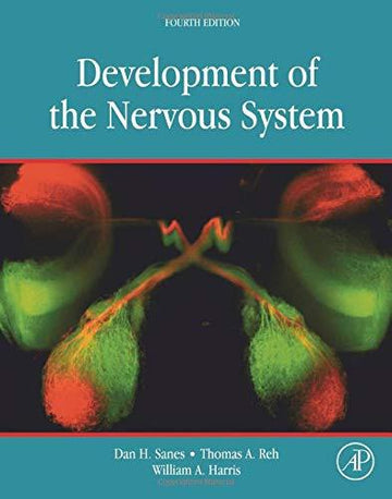 Development of the Nervous System