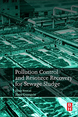 Pollution Control and Resource Recovery for Sewage Sludge