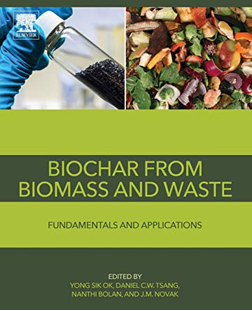 Biochar from Biomass: Fundamentals