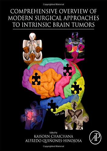 Comprehensive Overview of Modern Surgical Approaches to Intrinsic Brain Tumors