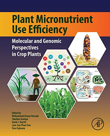 Plant Micro-Nutrient Use Efficiency: Molecular and Genomic Perspectives in Crop Plants