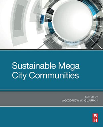 Building Sustainable Megacities