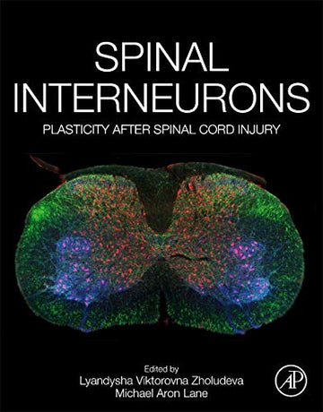 Spinal Interneurons: Plasticity after Spinal Cord Injury and Disease