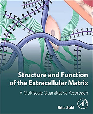 Structure and function of the extracellular matrix: A multiscale quantitative approach