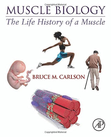 Muscle Biology: The Life History of a Muscle