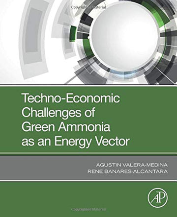 Techno-Economic Challenges of Green Ammonia as Energy Vector