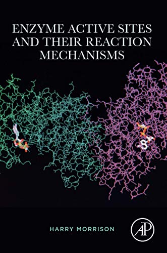 Enzyme Active Sites and their Reaction Mechanisms