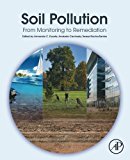 Soil Pollution: From Monitoring to Remediation