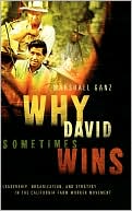 Why David Sometimes Wins: Leadership, Strategy and the Organization in the