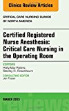 Certified Registered Nurse Anesthesia: Critical Care Nursing in the Operating Room,  An Issue of Critical Care Nursing C