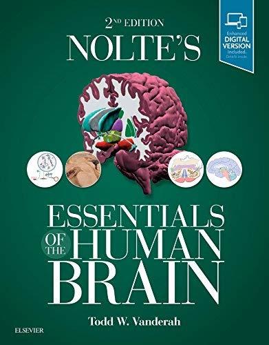 Essentials of the Human Brain 2nd edition