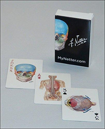 Netter Playing Cards: Netter's Anatomy Art Card Deck (Single Pack)