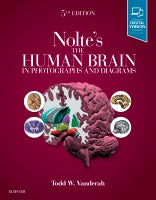 The Human Brain Photographs Diagrams 5e