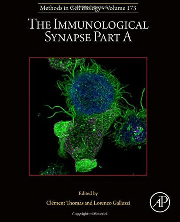 The Immunological Synapse