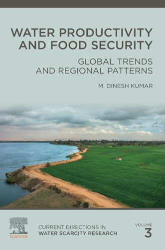Water Productivity and Food Security: Global Trends and Regional Patterns
