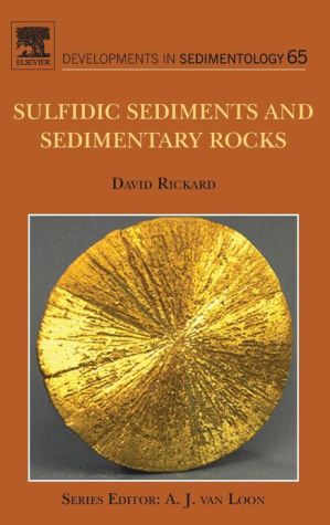 Developments in Sedimentology Volume 65