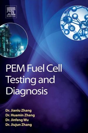 PEM Fuel Cell Testing and Diagnosis
