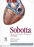 Sobotta Atlas of Anatomy: Internal Organs Vol 2 15e