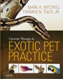 Current Therapy in Exotic Pet Practice 1e
