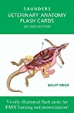Veterinary Anatomy Flash Cards 2E