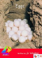 Sls Rd: Eggs