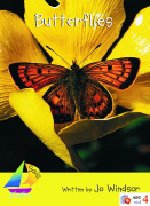 Sls Yl: Butterflies