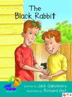 Sls Trq: The Black Rabbit