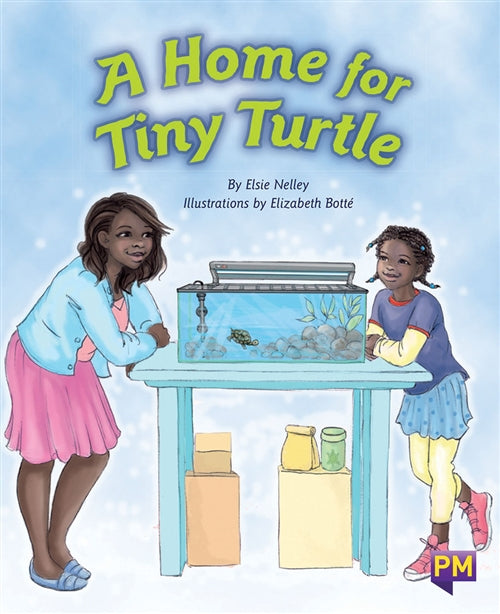 A Home for Tiny Turtle Book Land AU