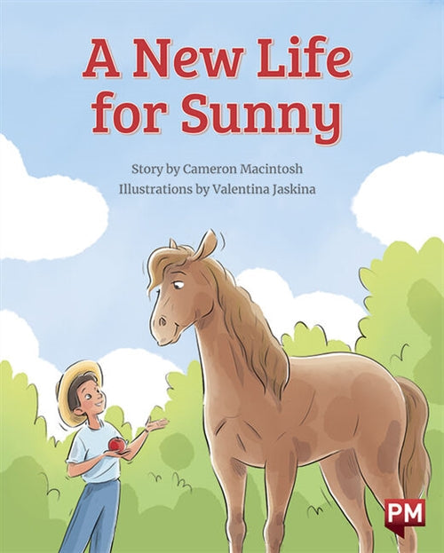 A New Life for Sunny Book Land AU