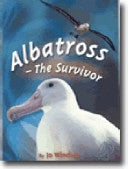 Albatross Book Land AU