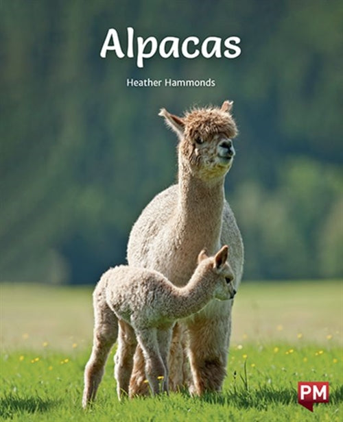 Alpacas Book Land AU