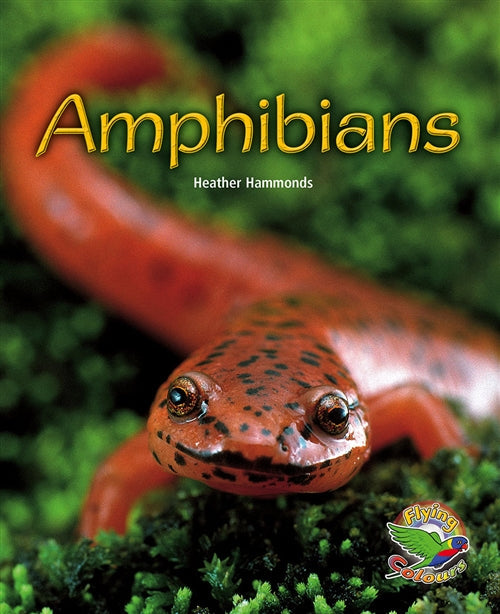 Amphibians Book Land AU