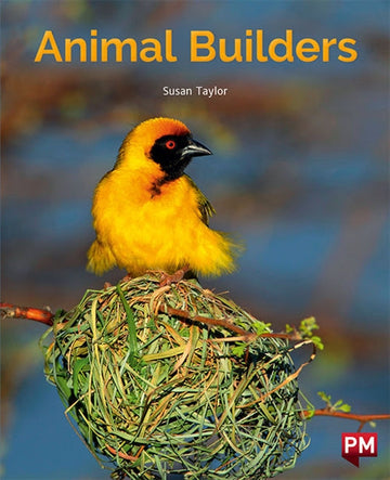 Animal Builders Book Land AU