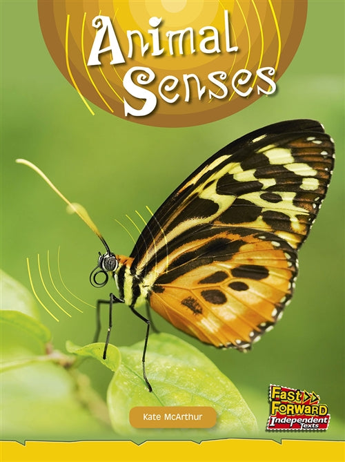Animal Senses Book Land AU
