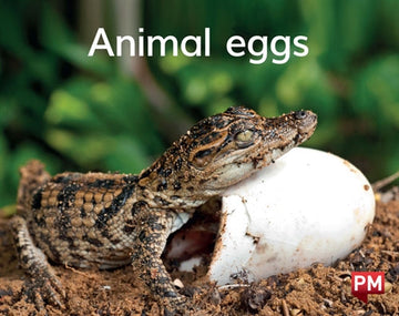 Animal eggs Book Land AU