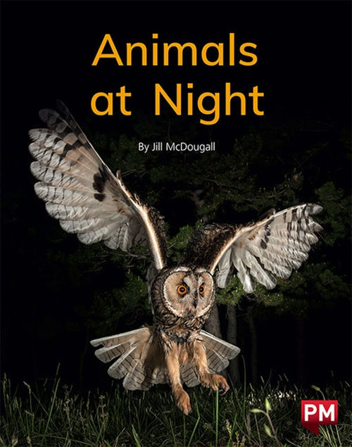 Animals at Night Book Land AU