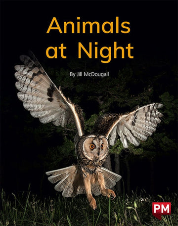 Animals at Night Book Land AU