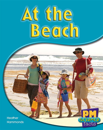 At the Beach Book Land AU