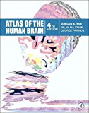 Atlas of the Human Brain Book Land AU
