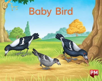Baby Bird Book Land AU