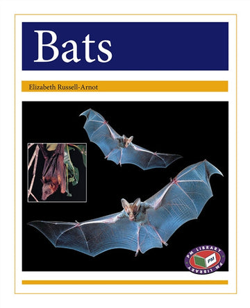 Bats Book Land AU