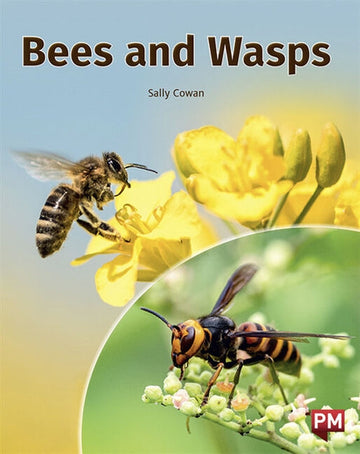 Bees and Wasps Book Land AU