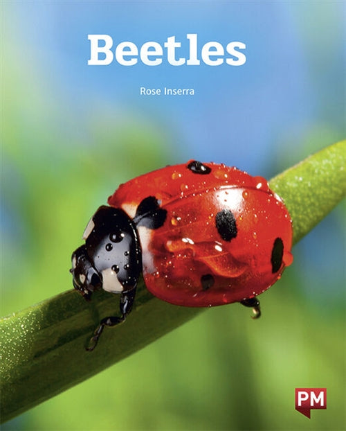 Beetles Book Land AU