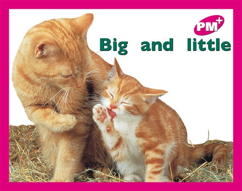 Big and little Book Land AU