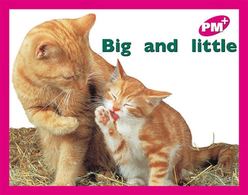Big and little Book Land AU