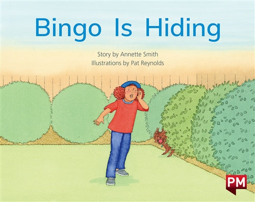 Bingo is Hiding Book Land AU