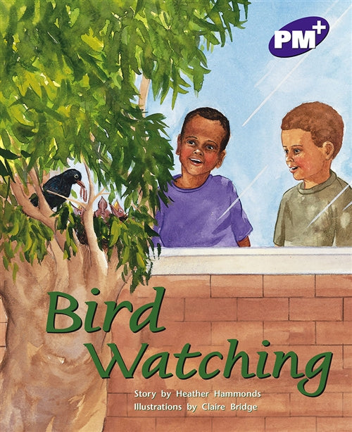 Bird Watching Book Land AU