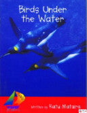 Birds Under the Water Book Land AU