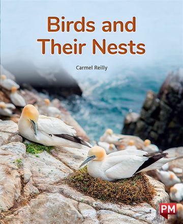 Birds and Their Nests Book Land AU