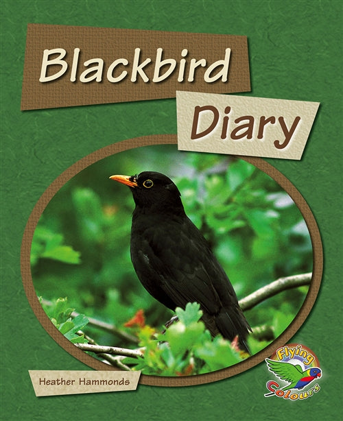 Black Bird Diary Book Land AU